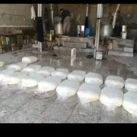 آدامس سقزکوهی