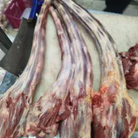 پاچه شتر کوهان شتر شحله دنبه بره|خوردنی و آشامیدنی|مشهد, گاز|دیوار