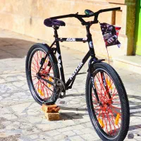 دوچرخه 26 اساک