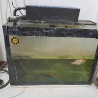 فروش 3 عدد آکواریم به علت جا به جایی|لوازم جانبی حیوانات|مشهد, ادیب نیشابوری (شهرک غرب)|دیوار