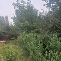 زمین ۶۰۰متر ۴۰ متر بنا کنار دانشگاه پیام نور|فروش زمین و ملک کلنگی|آستارا, |دیوار