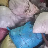 کود حیوانی دوساله