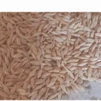 جو تمیز دمی بهاره