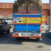 پوپلک پنبه