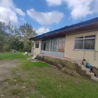 خانه و شالیزار/لب آسفالت چسبیده بهم/حومه خمام|فروش خانه و ویلا|خمام, |دیوار