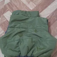 پافر کوتاه|لباس|فردیس, شهرک ارم|دیوار