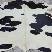 پوست تزیینی گاو|فرش|مشهد, هنرستان|دیوار