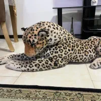 عروسک دکوری