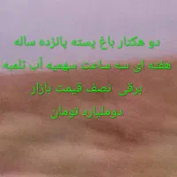 باغ پسته۱۵ ساله  احمد آقایی بختگان آباده طشک|فروش زمین و ملک کلنگی|بختگان, |دیوار
