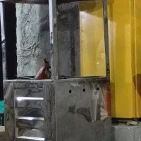گاز فلافلی با یخچال