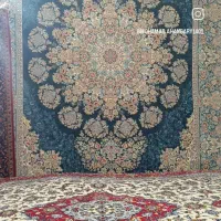 فرشماشینی ۱۲متری|فرش|تالش, هشتپر|دیوار