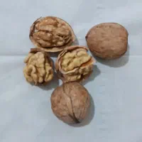 گردو سفید|عمدهفروشی|مرند, |دیوار