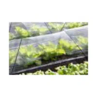 نایلون کشاورزی ، مالچ و گلخانه|عمدهفروشی|اصفهان, باغ دریاچه|دیوار