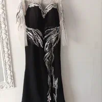 سالم ،مجلسی