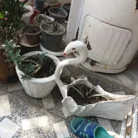 ساخت‌انواع‌گلدان‌سیمانی‌وسرامیکی|صنایع دستی و سایر لوازم تزئینی|بندر ترکمن, |دیوار