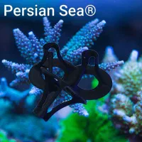 استند فرگ شنی