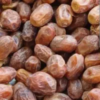 فروش خرما ضایعات
