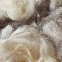 پشم تمیز و شسته شده با شوینده