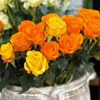 استخدام همکار در گلفروشی (الهیپرست)|استخدام خدمات فروشگاه و رستوران|تبریز, |دیوار