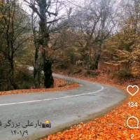 ویلای جنگلی ییلاقی کنار رودخانه
