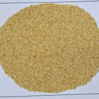 فروش ارزن بیرجند