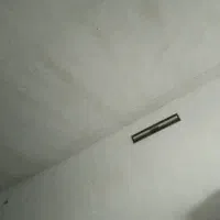 بار کبوتر فروشی