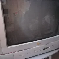 تلویزیون