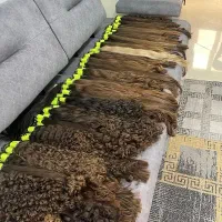 خرید و فروش مو طبیعی (سالن روژان)