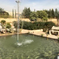 استخدام در کافه