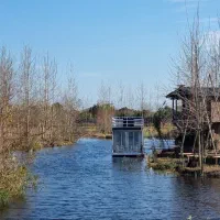 سازه چوبی لوکس در پروژه شهر آبی|فروش خانه و ویلا|آسارا, |دیوار