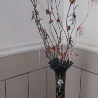 گلدون|گل و گیاه طبیعی|دهدشت, |دیوار