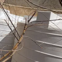 دستگاه تصفیه آب و 2 عدد تانکر پلاستیکی 5000 لیتری