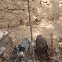 دوعددتوله شکاری ۳ ماهه نژادپوینتر|سگ|مشگین شهر, |دیوار