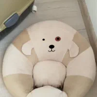 گربه فروشی|گربه|اردبیل, |دیوار