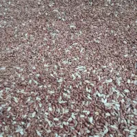 بادام زمینی برای کره گیری درجه ۱ایرانی