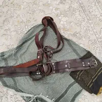 کمربند هیکلی