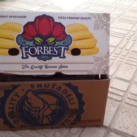 کارتون ، کارتن