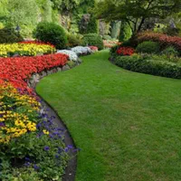 خدمات باغبانی و باغچه کاری منازل و ویلا و حیاط