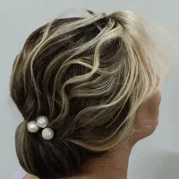 شنیونکار حرفه ای چرخشی