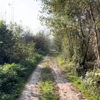 زمین-شالیزار-1400-متری