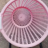 سبد بزرگ|ظروف نگهدارنده، پلاستیکی، یک‌بارمصرف|اسدآباد, |دیوار