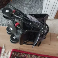 کالسکه عصایی
