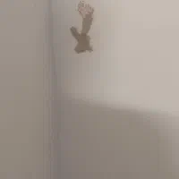 سمپاشی سوسک موریانه سم پاشی ساس با مجوز رسمی|خدمات نظافت|نجف‌آباد, منتظری شمالی|دیوار