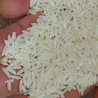 برنج‌هاشمی‌درجه‌۱محصول۱۴۰۴|خوردنی و آشامیدنی|رشت, گلباغ نماز|دیوار