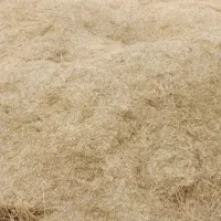 کاه گندم درجه 1