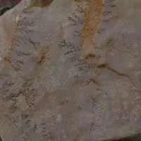 سنگ شجر|کلکسیون اشیاء عتیقه|میانه, |دیوار