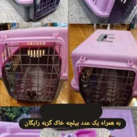 باکس حمل گربه دست دوتمیز و سالم،۳تا تیشرت سگ|لوازم جانبی حیوانات|صدرا-فارس, فاز ۱|دیوار