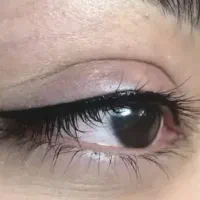 میکرو کار حرفه ای موژه کار حرفه ای