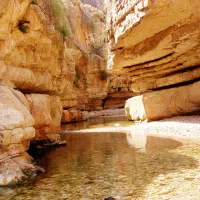 گروه ورزشی اوان