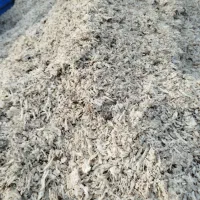 تفاله چغندر پرسی (دونم) وخشک